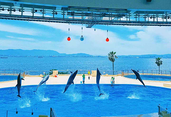 海洋世界海之中道第 15 张图片