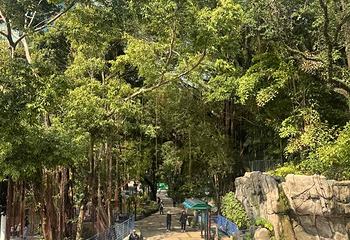 九龙公园第 29 张图片