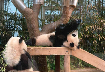 爱宝乐园第 129 张图片