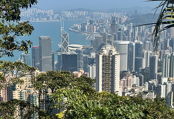太平山顶第 90 张图片