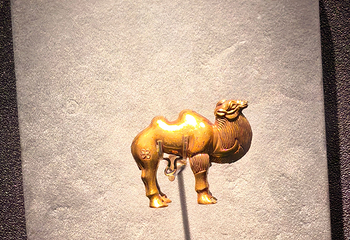 秦始皇帝陵博物院(兵马俑)第 375 张图片
