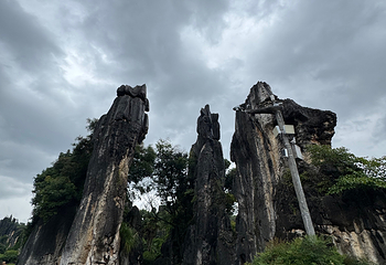 石林风景区第 281 张图片