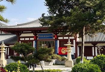 兴庆宫公园第 78 张图片