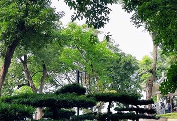 鹅岭公园第 144 张图片