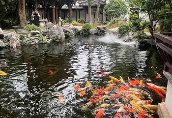 朱家角古镇景区第 153 张图片