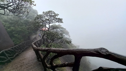 三清山风景区第 270 张图片