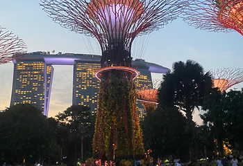 新加坡滨海湾花园第 171 张图片