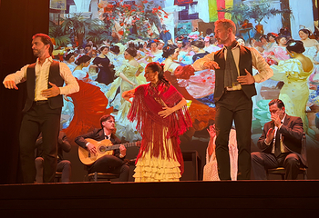 塞维利亚Teatro Flamenco Sevilla弗拉明戈剧院第 32 张图片