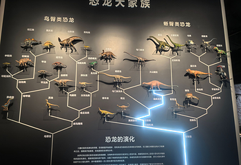 自贡恐龙博物馆第 29 张图片