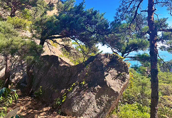 崂山风景区第 212 张图片
