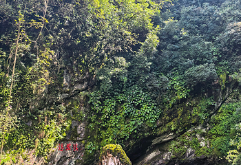 苍山第 147 张图片