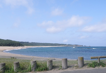 种差海岸第 23 张图片