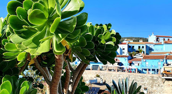 Mirador de la Torrichela