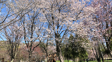 Kimobetsu Chomin Park