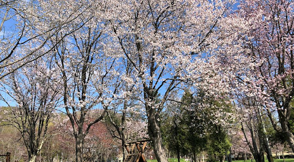 Kimobetsu Chomin Park