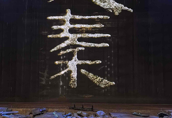 赳赳大秦第 117 张图片