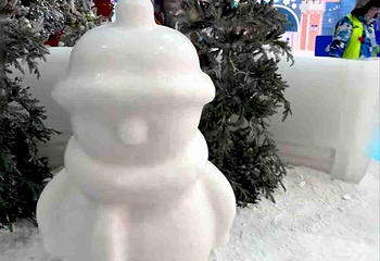 阿尔卑斯雪世界第 444 张图片
