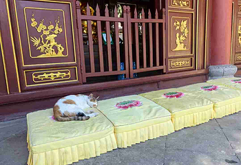 香积寺第 48 张图片