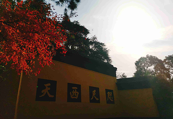 灵隐飞来峰景区第 131 张图片