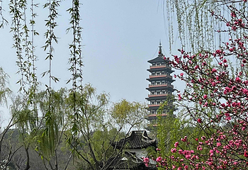 瘦西湖第 241 张图片