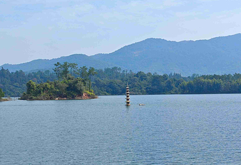 万绿湖风景区第 41 张图片