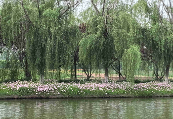 梦里水乡第 68 张图片