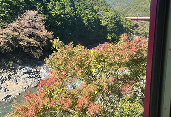 岚山嵯峨野观光小火车第 44 张图片