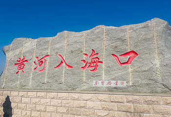 黄河口生态旅游区第 33 张图片