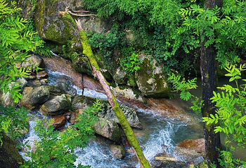 南岳衡山风景名胜区第 35 张图片