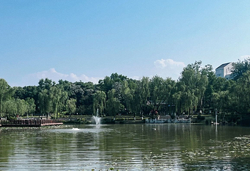 兴庆宫公园第 144 张图片
