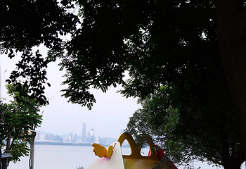深圳湾公园第 35 张图片