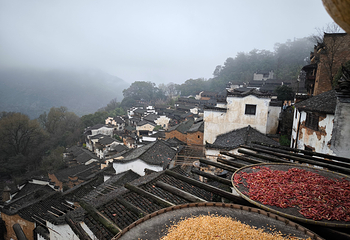 婺源篁岭景区第 306 张图片