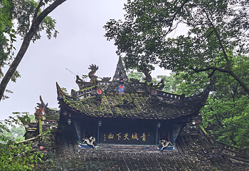青城山第 217 张图片
