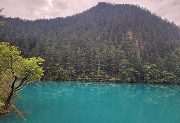 九寨沟风景区第 283 张图片