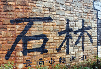 石林风景区第 176 张图片