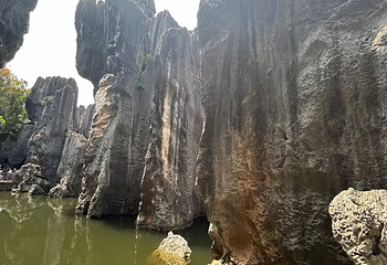 石林风景区第 299 张图片