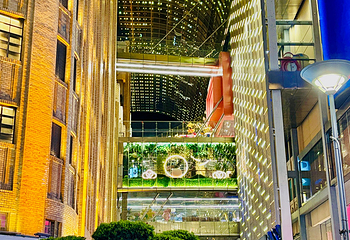 南京路步行街第 109 张图片