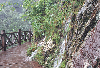 萍乡武功山风景区第 173 张图片