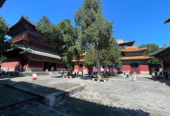 隆兴寺第 55 张图片