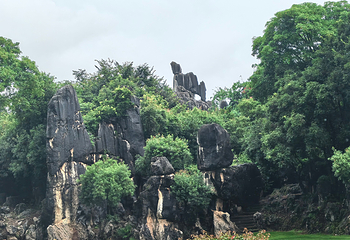 石林风景区第 143 张图片