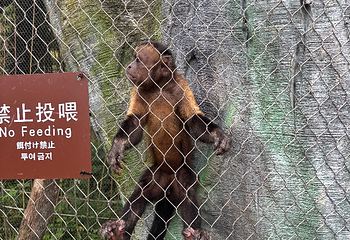 杭州野生动物世界第 112 张图片