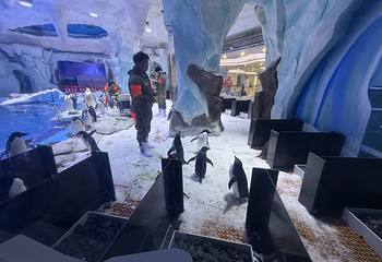 上海海昌海洋公园第 194 张图片