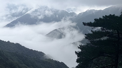 羊狮慕风景区第 64 张图片