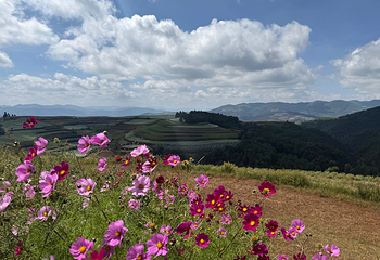 东川红土地第 28 张图片