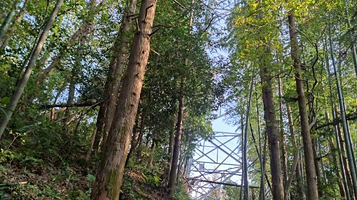 里外峰森林游步道
