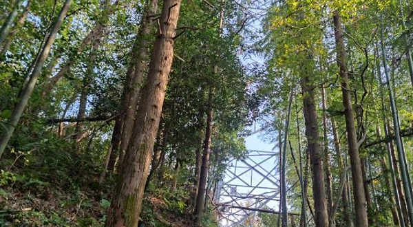 里外峰森林游步道