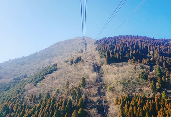 别府空中索道第 6 张图片