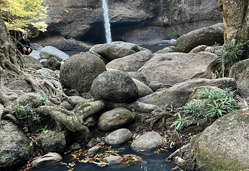Khao Yai National Park Checkpoint - Pak Chong第 11 张图片