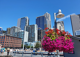 自然历史博物馆