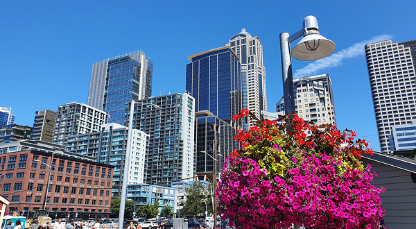 自然历史博物馆